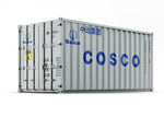You & Car 20' Container "cosco"